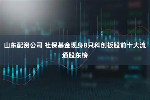 山东配资公司 社保基金现身8只科创板股前十大流通股东榜