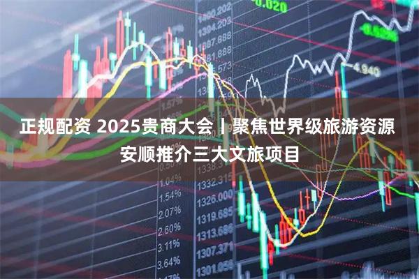 正规配资 2025贵商大会丨聚焦世界级旅游资源 安顺推介三大文旅项目