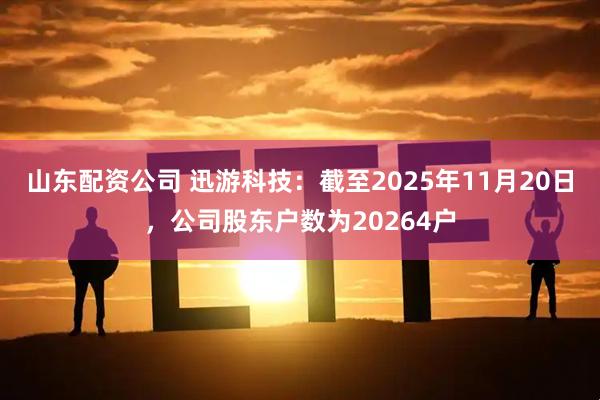 山东配资公司 迅游科技：截至2025年11月20日，公司股东户数为20264户