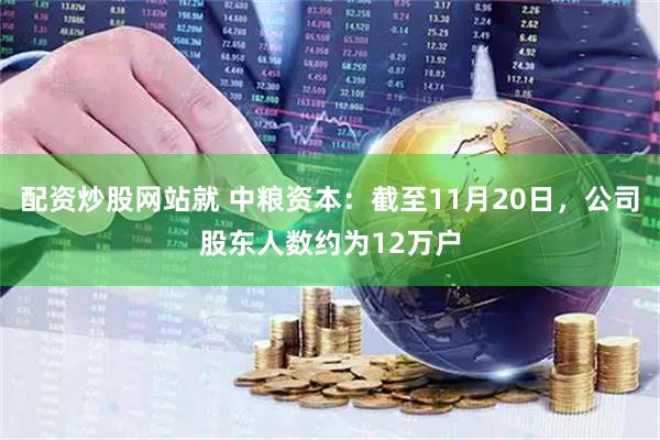 配资炒股网站就 中粮资本：截至11月20日，公司股东人数约为12万户