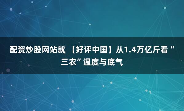 配资炒股网站就 【好评中国】从1.4万亿斤看“三农”温度与底气