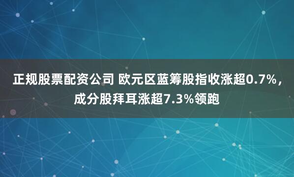 正规股票配资公司 欧元区蓝筹股指收涨超0.7%，成分股拜耳涨超7.3%领跑