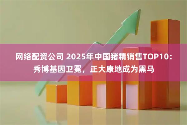 网络配资公司 2025年中国猪精销售TOP10：秀博基因卫冕，正大康地成为黑马